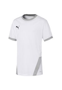 Podkoszulek Puma Teamgoal 23 Jersey Jr, Dzieci. Kolor: biały, wielokolorowy, szary. Materiał: poliester