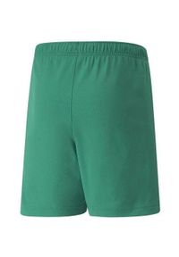 Spodenki piłkarskie dla dzieci Puma teamRISE Short Jr. Kolor: biały, wielokolorowy, zielony