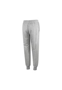 Spodnie Dresowe Sportowe Męskie Puma Elevated Tr. Kolor: szary. Materiał: dresówka. Styl: sportowy