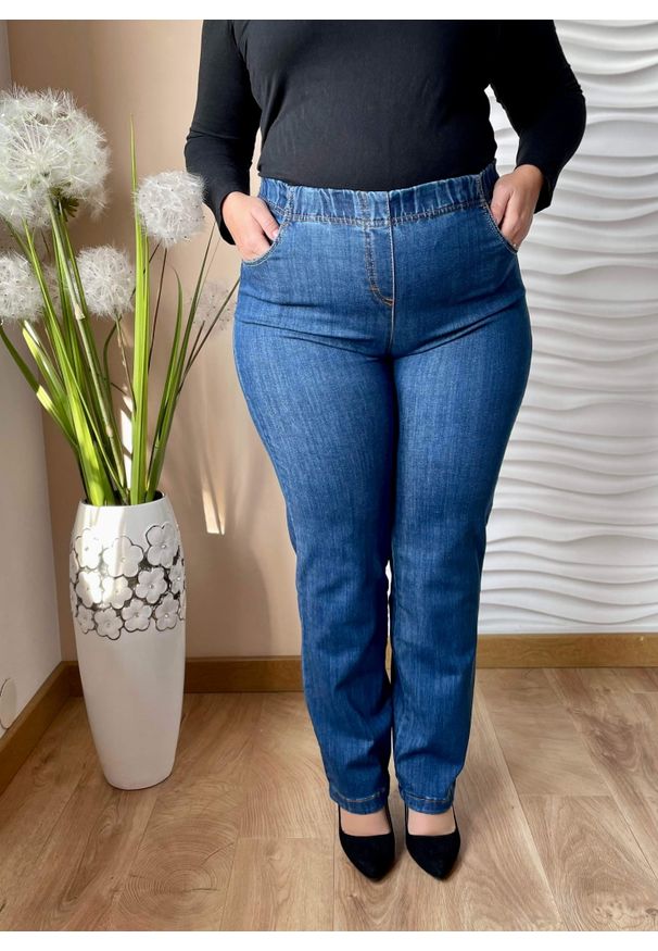 Nasi partnerzy - Jeansowe spodnie Jovita z prostą nogawką PLUS SIZE XXL. Okazja: do pracy, na spacer, na co dzień. Kolekcja: plus size. Materiał: jeans. Długość: krótkie. Styl: casual