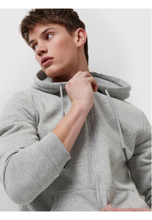 Only & Sons Bluza Ceres 22018684 Szary Regular Fit. Kolor: szary. Materiał: bawełna, syntetyk
