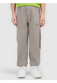 4f - 4F Spodnie dresowe joggery chłopięce - szare 152 (11-12 lat). Okazja: na co dzień, na uczelnię. Kolor: szary. Materiał: dresówka. Sezon: lato. Styl: casual #2