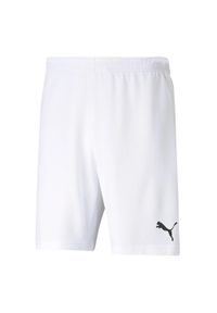 Puma - Męskie Spodenki Dresowe TeamRISE. Kolor: biały. Materiał: dresówka
