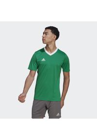 Adidas - Koszulka piłkarska męska adidas Entrada 22 Jersey. Kolor: zielony, biały, wielokolorowy. Materiał: poliester, jersey. Sport: piłka nożna