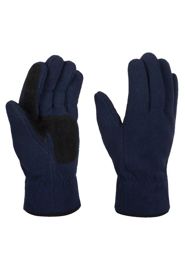 Regatta - Zimowe Rękawiczki Termiczne Z Polaru Thinsulate. Kolor: niebieski. Materiał: polar. Technologia: Thinsulate. Sezon: zima