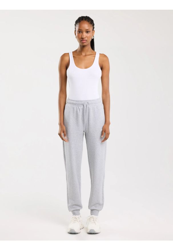 Big-Star - Spodnie damskie dresowe szare Kathy 901. Kolor: szary. Materiał: dresówka. Wzór: nadruk