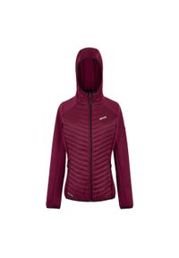 Regatta - Damska Kurtka Hybrydowa Anderson. Kolor: czerwony. Sport: turystyka piesza #1