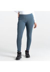 DARE 2B - Damskie legginsy Dare 2B Melodic II. Kolor: szary. Sport: turystyka piesza #1