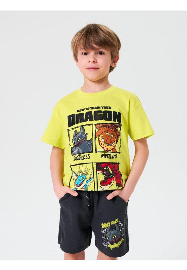Sinsay - Szorty How to train your dragon - szary. Kolor: szary