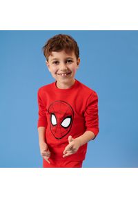 Sinsay - Bluza Spiderman - Czerwony. Kolor: czerwony. Wzór: motyw z bajki #1
