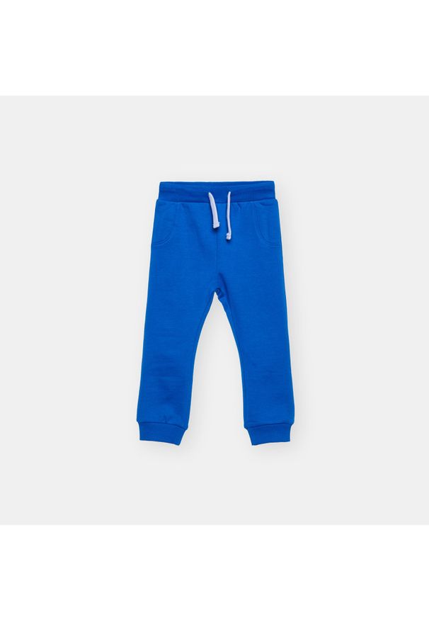 Sinsay - Dresowe joggery - Niebieski. Kolor: niebieski. Materiał: dresówka