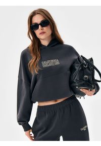 Sinsay - Bluza hoodie z haftowanym napisem - szary. Kolor: szary. Wzór: napisy, haft #1