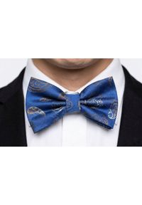 Mucha Męska w Zestawie z Poszetką - Alties - Niebieska, w Paisley. Kolor: niebieski. Wzór: paisley. Styl: elegancki, sportowy #5