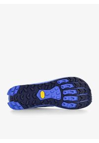 Buty trailowe męskie Altra Lone Peak 9+. Kolor: niebieski. Sport: bieganie