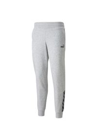 Spodnie damskie Puma Power Pants FL szare. Kolor: szary. Długość: długie