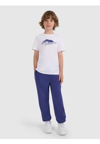 4f - 4F Spodnie polarowe chłopięce - granatowe 146 (10-11 lat). Okazja: na co dzień. Kolor: niebieski. Materiał: polar. Sezon: lato. Styl: casual #1