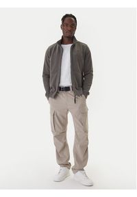 Aeronautica Militare Bluza 252FE2055UF00665 Szary Regular Fit. Kolor: szary. Materiał: bawełna