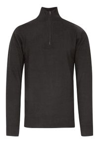 Brave Soul - Sweter Popielaty, Góra Zapinana na Zamek, z Wysoką Stójką, Męski -BRAVE SOUL. Typ kołnierza: kołnierzyk stójkowy. Kolor: szary. Materiał: bawełna. Sezon: zima, jesień. Styl: klasyczny #1