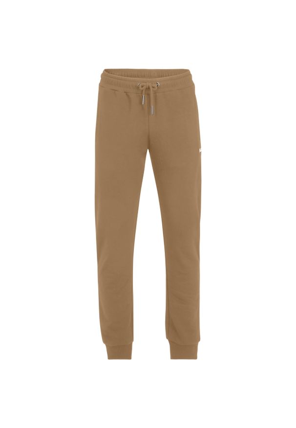 Jogging Fila Braives. Kolor: brązowy. Sport: bieganie