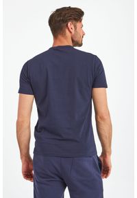 Blauer - T-SHIRT BLAUER. Materiał: bawełna, jersey. Długość: krótkie. Wzór: nadruk, kolorowy