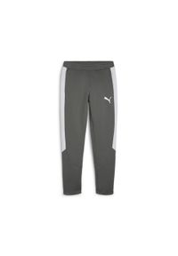Puma - Męskie spodnie dresowe EVOSTRIPE PUMA Mineral Gray. Kolor: szary. Materiał: dresówka. Sport: joga i pilates #1