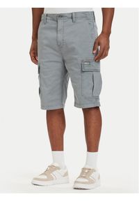 Tommy Jeans Szorty materiałowe Otis DM0DM22831 Szary Regular Fit. Kolor: szary. Materiał: bawełna #1
