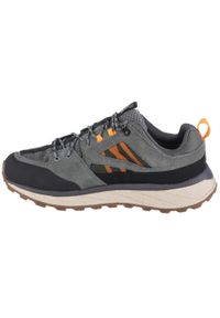 Buty trekkingowe męskie Jack Wolfskin Terraquest Texapore Low. Kolor: zielony, wielokolorowy #2