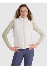 4f - 4F Bezrękawnik puchowy z wypełnieniem syntetycznym damski - szary XS. Okazja: na co dzień. Typ kołnierza: kołnierzyk stójkowy. Kolor: szary. Materiał: syntetyk, puch. Długość rękawa: bez rękawów. Długość: krótkie. Styl: casual, klasyczny, sportowy #1