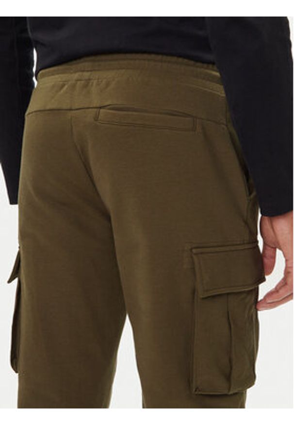Aeronautica Militare Spodnie dresowe 252PF1010UF00662 Zielony Regular Fit. Kolor: zielony. Materiał: bawełna