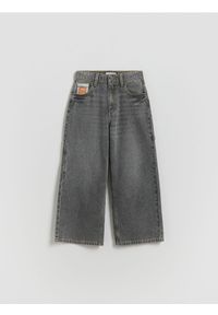 Reserved - Jeansy baggy - jasnoszary. Kolor: szary #1