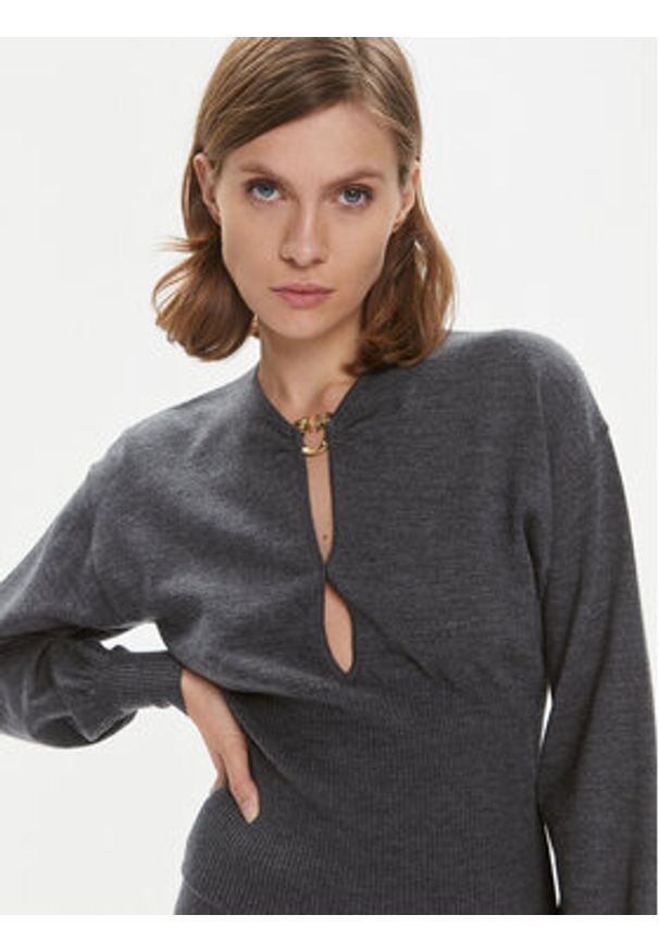 Pinko Sweter Chioccia 101848 A15S Szary Regular Fit. Kolor: szary. Materiał: wełna