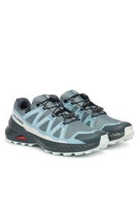 salomon - Salomon Trekkingi SPEEDCROSS PEAK GORE-TEX L47974500 Niebieski. Kolor: niebieski. Materiał: materiał #2