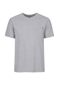 Ochnik - Szary basic T-shirt męski. Kolor: szary. Materiał: bawełna. Długość: krótkie