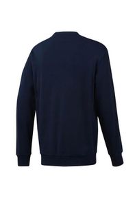 Bluza sportowa męska Reebok AC FT Big Starcrest. Kolor: niebieski