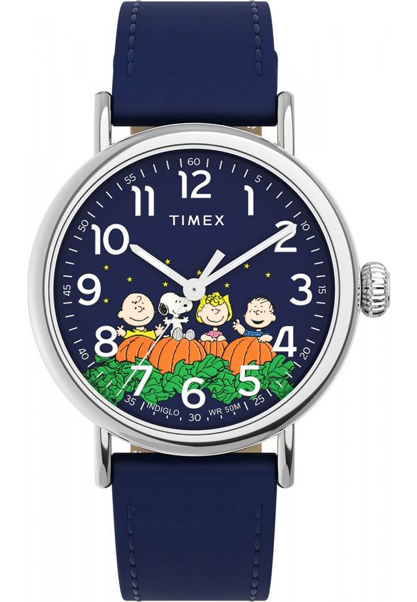 Zegarek męski Timex TW2W72700 niebieski. Kolor: niebieski