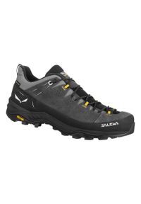 Buty Trekkingowe Męskie Salewa Alp Trainer 2 Gtx. Kolor: wielokolorowy, szary, czarny