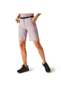 Regatta - Spodenki damskie Xert. Kolor: fioletowy. Materiał: poliester, elastan. Sport: fitness, turystyka piesza #1