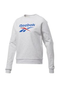 Bluza sportowa damska Reebok Classic Big Vector Crew FT. Kolor: szary