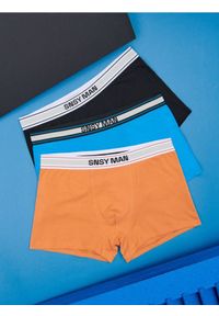 Sinsay - Bokserki Classic 3 pack - wielobarwny