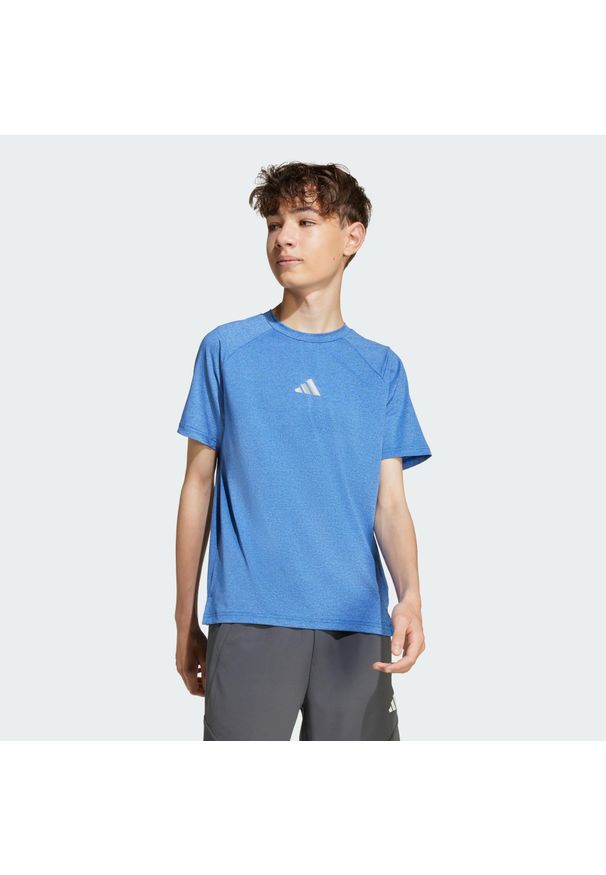 Adidas - Koszulka All Sports Favorite. Kolor: szary, niebieski, wielokolorowy. Technologia: ClimaCool (Adidas). Sport: joga i pilates