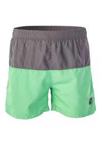 AquaWave - Męskie Spodenki Kąpielowe Kaden II. Kolor: szary, zielony, wielokolorowy. Styl: sportowy