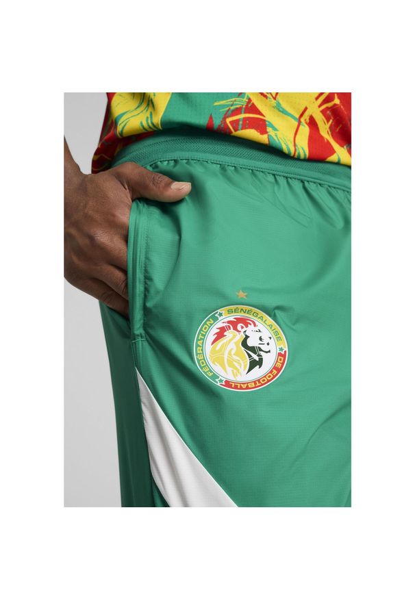 Puma - Męskie spodnie przedmeczowe Senegal 2025 PUMA Sport Green White. Kolor: biały, wielokolorowy, zielony