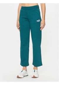 Puma Spodnie dresowe Ess+ 676093 Zielony Regular Fit. Kolor: zielony. Materiał: bawełna #1