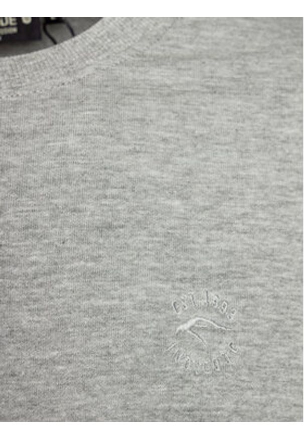 INDICODE Bluza Derrick 55-615 Szary Regular Fit. Kolor: szary. Materiał: bawełna, syntetyk
