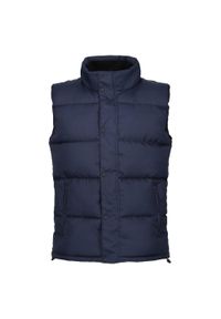 Regatta - Męska Kamizelka Ocieplana Northdale. Kolor: niebieski. Styl: sportowy. Sport: turystyka piesza #1