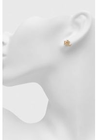 Lauren Ralph Lauren kolczyki. Kolor: złoty #3