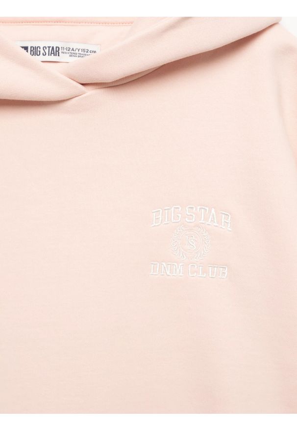 Big-Star - Bluza dziewczęca z kapturem różowa Alana 600. Okazja: na co dzień, na uczelnię. Typ kołnierza: kaptur. Kolor: różowy. Materiał: dzianina, materiał. Wzór: aplikacja, haft. Styl: casual, elegancki