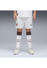 Puma - Młodzieżowe szorty FC St. Pauli 25/26 PUMA White Espresso Brown. Kolor: brązowy, biały, wielokolorowy. Materiał: tkanina. Sport: piłka nożna