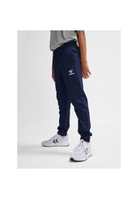 Spodnie Sportowe Dresowe Hummel Hmlgo 2.0 Sweatpants Kids. Kolor: niebieski. Materiał: dresówka