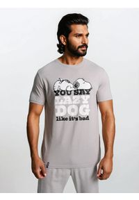 Sinsay - Bawełniana koszulka z krótkim rękawem Peanuts - szary. Kolor: szary. Materiał: bawełna. Długość rękawa: krótki rękaw. Długość: krótkie #1